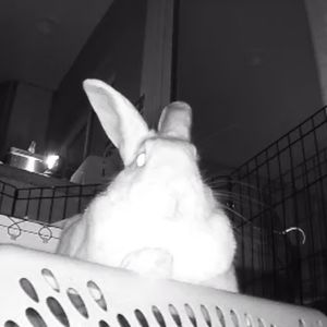 Meet your Posher, Nathaniel